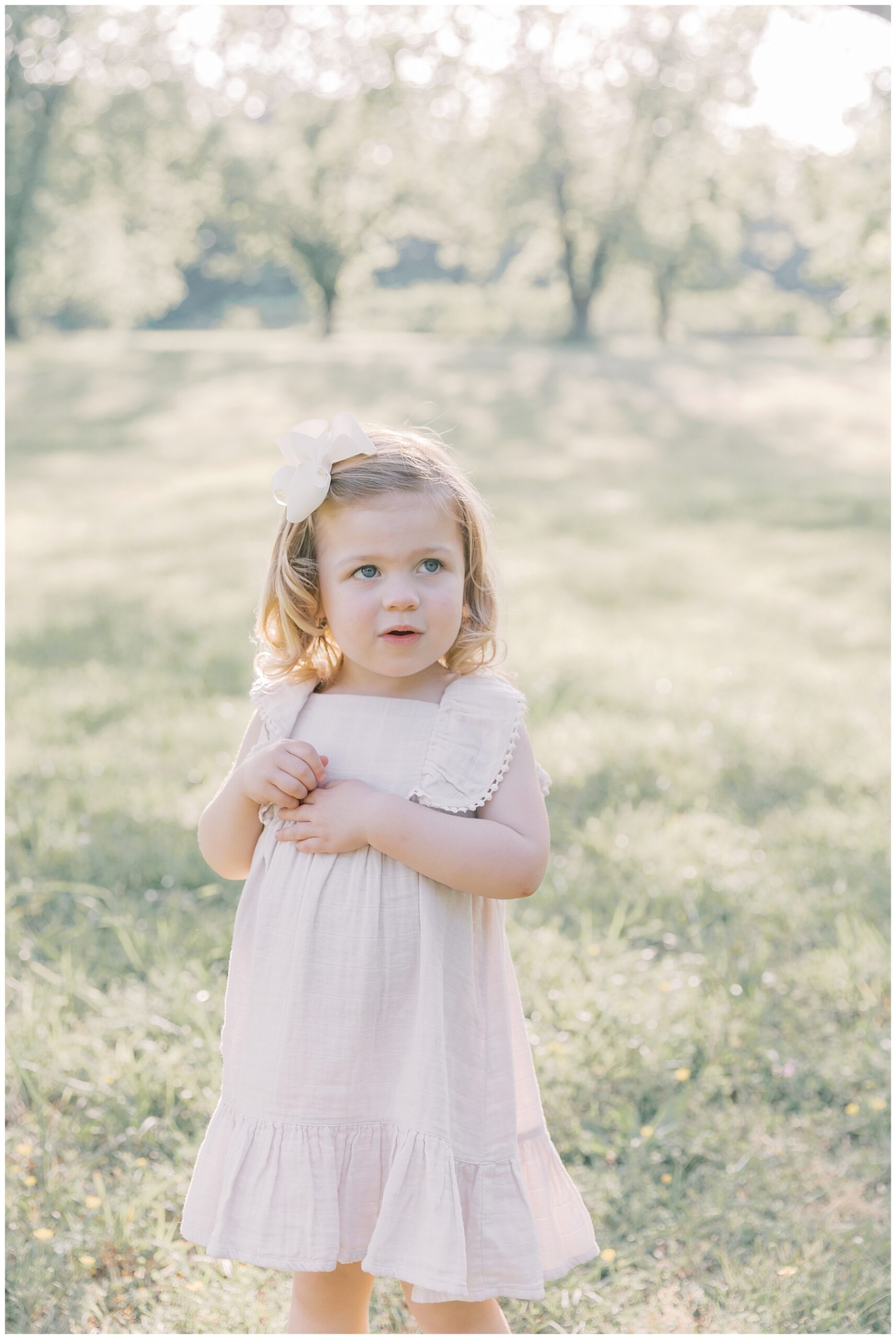 Family portraits by Katie Petrick Photography 